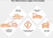 5 common types of car accidents