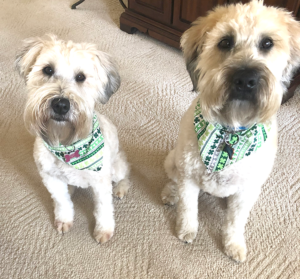 Tucker and Abby